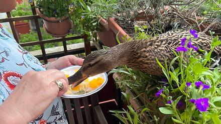 Mahlzeit!