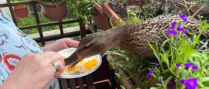 Mahlzeit!