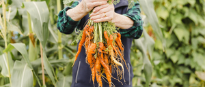 Zurück zu den Wurzeln: Bio hatte in den Corona-Jahren einen wahren Boom erlebt.