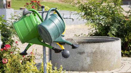 Gießkannen *** Watering cans 1065526770 