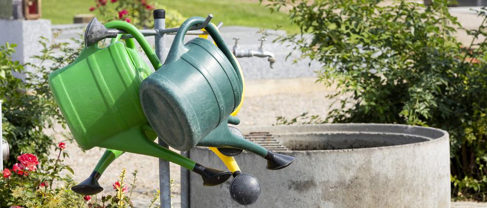 Gießkannen *** Watering cans 1065526770 