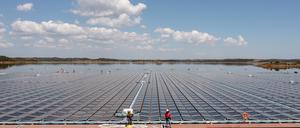 Mit ihren vier Hektar ist die schwimmende Solaranlage etwas größer als fünf Fußballfelder.