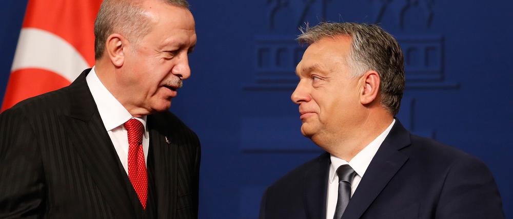 Zwei Brüder im Geiste. Der türkische Präsident Erdogan (links) und Ungarns Premier Orban. 