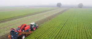 Aus Niedersachsen stammen 97 Prozent des heimischen Erdgas.