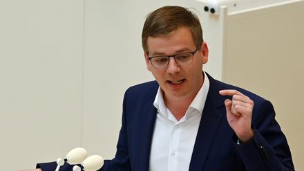 Sebastian Walter, Chef der Brandenburger Linken