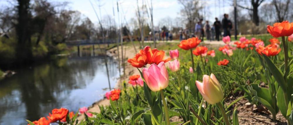 Mehr als 100.000 Menschen haben sich die Landesgartenschau Beelitz bisher angesehen.