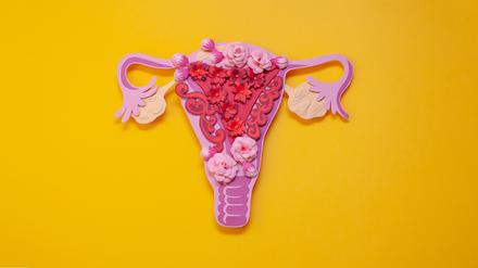 Gegen das klassische Narrativ. Die Menstruation ist nicht allgemein eine Krankheit, die Frauen schwächt.  