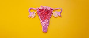 Gegen das klassische Narrativ. Die Menstruation ist nicht allgemein eine Krankheit, die Frauen schwächt.  