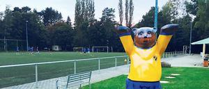 Wahrzeichen: Bär am Sportplatz.