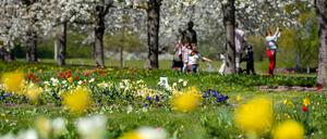 Der Britzer Garten blüht im Frühling und Sommer so richtig auf.