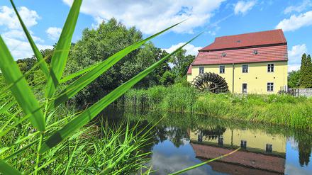 Fluss im Wandel. Malerisch liegt die Elstermühle in Plessa an der Schwarzen Elster. Der 179 Kilometer lange Nebenfluss der Elbe, der von Sachsen über Brandenburg nach Sachsen-Anhalt fließt, führt seit Jahren aufgrund der anhaltenden Trockenheit immer weniger Wasser.