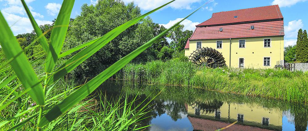 Fluss im Wandel. Malerisch liegt die Elstermühle in Plessa an der Schwarzen Elster. Der 179 Kilometer lange Nebenfluss der Elbe, der von Sachsen über Brandenburg nach Sachsen-Anhalt fließt, führt seit Jahren aufgrund der anhaltenden Trockenheit immer weniger Wasser.