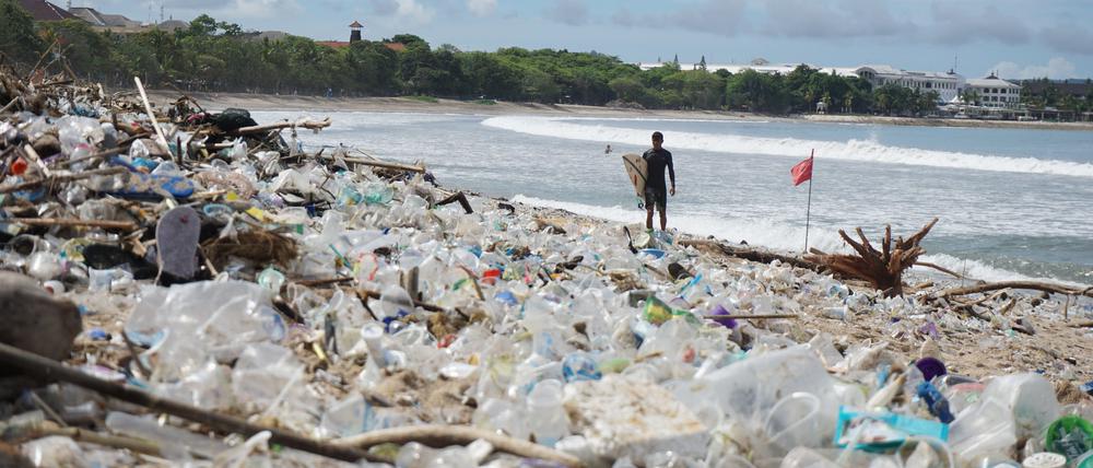 Aus Mikroplastik wird Nanoplastik, dessen Teilchen so klein sind, dass sie sogar von Pflanzen aufgenommen werden können.