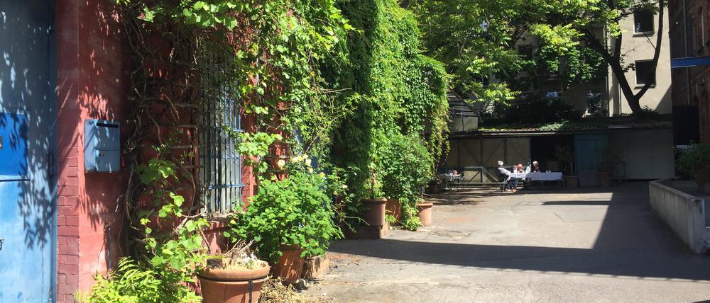 In den Mühlenhaupt-Höfen in der Fidicinstraße waren einst die Pferde der ehemaligen Schultheissbrauerei untergebracht. Heute ist es ein Ort für freie Künstler:innen, das Theater Thikwa und das Kurt Mühlenhaupt Museum. 