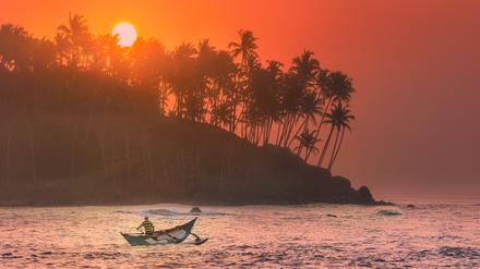 Silhouette of coconut palm, fishermen and sunbeams true trees on beach at sunrise Mirissa, Sri Lanka.