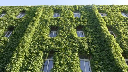 EU und Bundesregierung setzen bei Immobilien verstärkt auf Klimaschutz. Das wirkt sich auch auf die Finanzierung aus. 