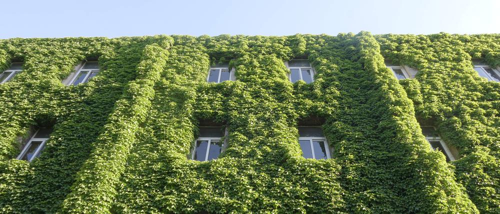 EU und Bundesregierung setzen bei Immobilien verstärkt auf Klimaschutz. Das wirkt sich auch auf die Finanzierung aus. 