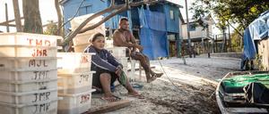 In den weißen Plastikkisten sortieren Jel Pereira da Silva (rechts) und Célia Castro Pinheiro die gefangenen Zierfische.