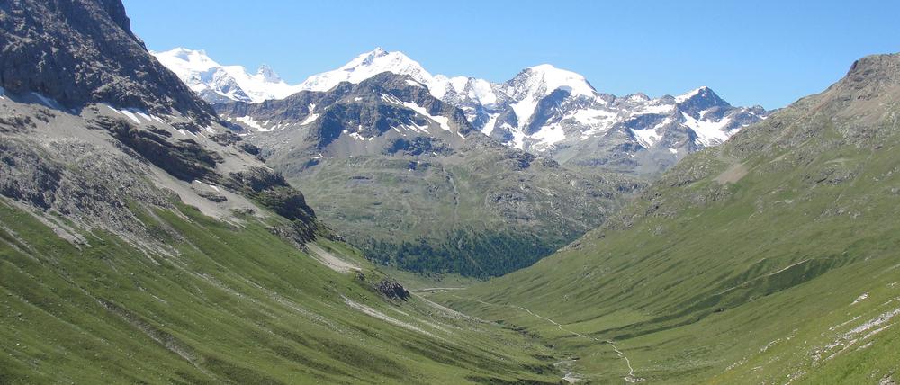 Oberhalb der Baumgrenze breiten sich durch das wärmere Klima mehr Pflanzen aus. Gleichzeitig gehen Schneebedeckung und Gletschereis zurück. Das könnte die besonders empfindliche Flora und Fauna der Berge nachhaltig stören.