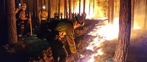 Einsatzkräfte der Hilfsorganisation @fire bei Beelitz, 19. Juni 2022.