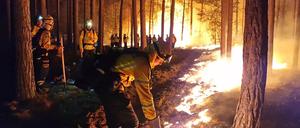 Kontrolliert. Einsatzkräfte der Hilfsorganisation @fire legen Gegenfeuer, um eine weitere Ausbreitung des Waldbrandes bei Beelitz zu verhindern und die Feuerwehr bei der Brand-Bekämpfung zu unterstützen. Am Montagmorgen half schließlich der Regen, das Feuer endgültig unter Kontrolle zu bringen.