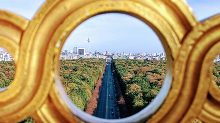 Blick auf den herbstlichen Tierpark.