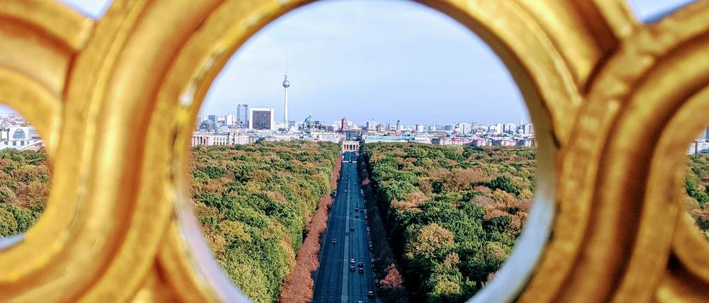 Blick auf den herbstlichen Tierpark.