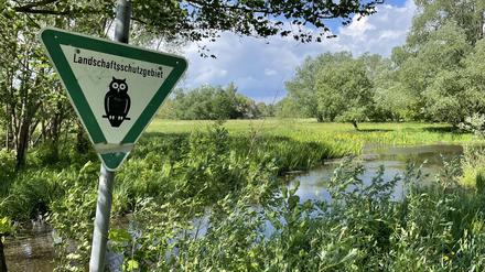 Reiher, Wasserbüffel, Frösche, Kraniche. Und die Spuren der Biber sieht man auch.