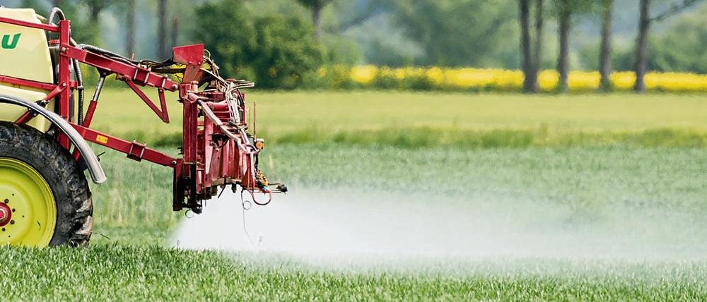 Messungen zur Biodiversität nach der Reduktion von Pestiziden könnten im Vergleich zeigen, welche landwirtschaftlichen Betriebe besonders gefördert werden sollten, schlägt ein Experte vor.