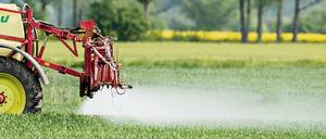 Messungen zur Biodiversität nach der Reduktion von Pestiziden könnten im Vergleich zeigen, welche landwirtschaftlichen Betriebe besonders gefördert werden sollten, schlägt ein Experte vor.