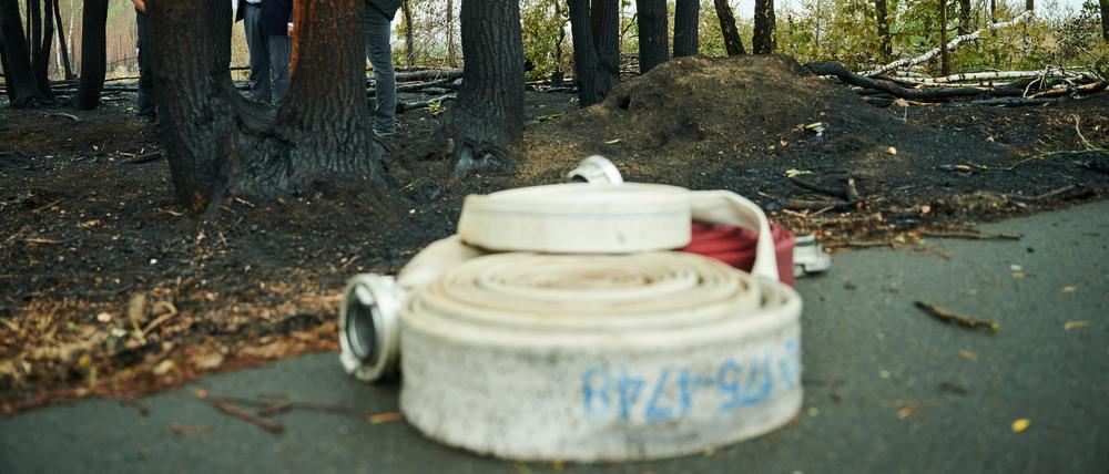 Schläuche der Feuerwehr liegen auf dem Boden, während Michael Stübgen (CDU), Innenminister des Landes Brandenburg im verbrannten Wald in Treuenbrietzen steht.