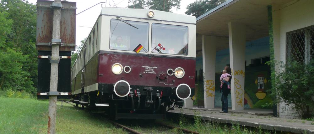 Die einzige Zwischenstation der kleinen Bahn ist Waldsieversdorf.