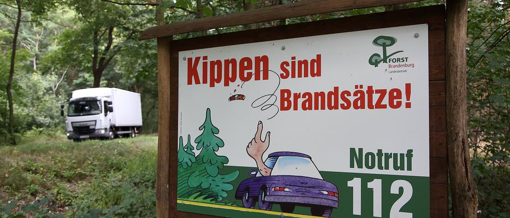 Menschen, die sich im Wald nicht an die Regeln halten, sind offenbar die größte Gefahrenquelle für Waldbrände.