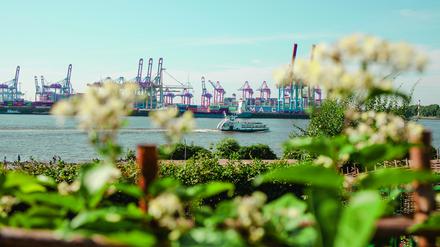 Auf der Elbe sind zahlreiche Fährlinien unterwegs.