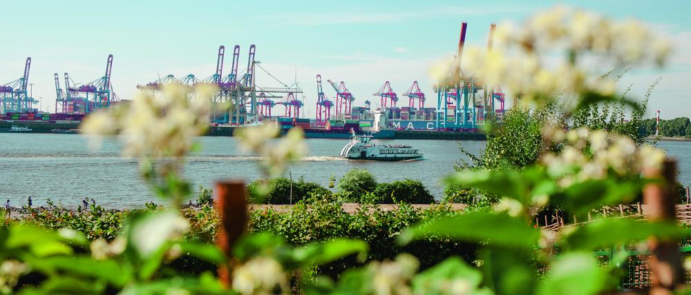 Auf der Elbe sind zahlreiche Fährlinien unterwegs.