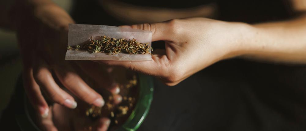 In Deutschland liegt der Gehalt an psychoaktiven Cannabinoiden, speziell von Delta-9-Tetrahydrocannabinol (THC), mittlerweile zwischen zwölf und 14 Prozent.