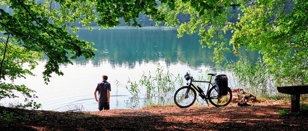 Das Wasser des Peetschsees ist glasklar, der Untergrund sandig, Libellen hängen im Schilf.