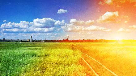 Das Tempelhofer Feld in Berlin.