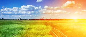 Das Tempelhofer Feld in Berlin.