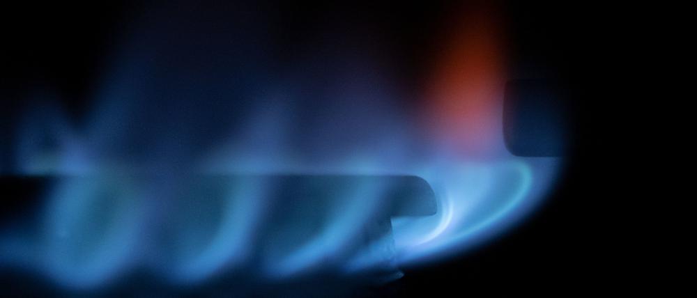 05.07.2022, Stuttgart: Zahlreiche blau-schimmernde Gas-Flämmchen sind an einem Gasherd zu sehen. Die Gasversorgung in Deutschland ist aufgrund der anhaltenden Ukraine-Krise weiterhin Thema. Foto: Marijan Murat/dpa +++ dpa-Bildfunk +++