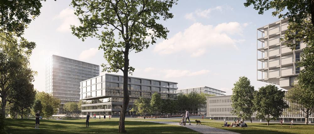 Ganz links das Hochhaus mit 16 Etagen: Bis 2050 soll der Campus Benjamin Franklin ausgebaut werden.