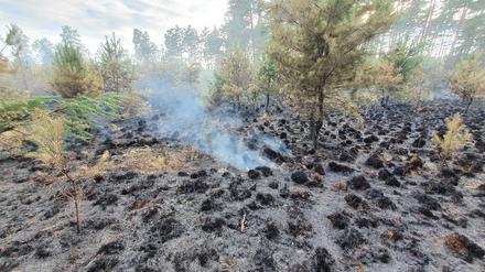 Schon 2019 gab es dort einen Großbrand. Daraus wurden kaum Lehren gezogen, kritisiert ein Feuerwehrmann.