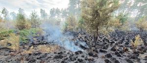 Schon 2019 gab es dort einen Großbrand. Daraus wurden kaum Lehren gezogen, kritisiert ein Feuerwehrmann.