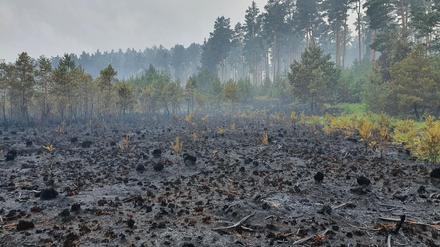 Verbrannte Moor-Oberfläche.