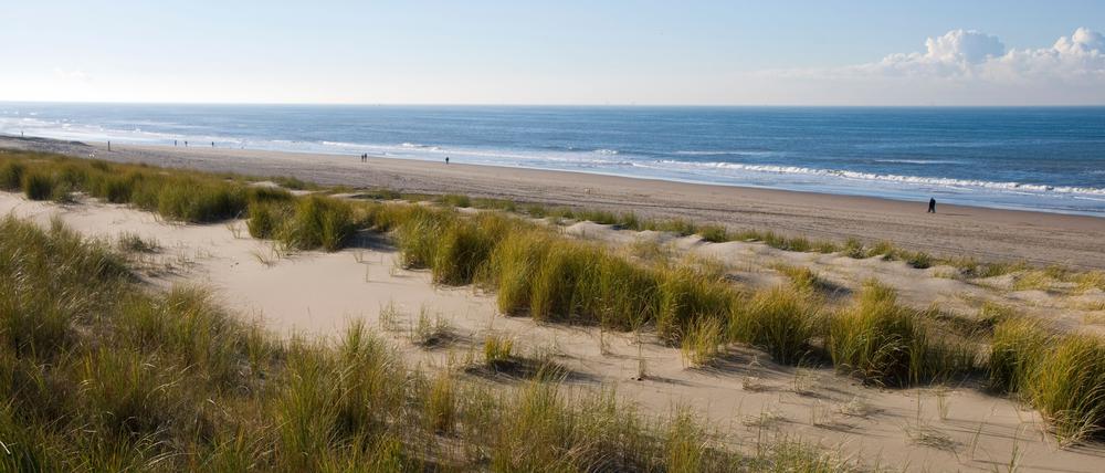 Die Dünen von Noordwijk.