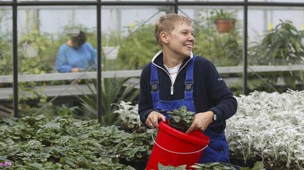 Im Grünen arbeiten: Auch um Gartenarbeiten oder Pflanzenzucht kümmern sich die Mitarbeiter:innen von Behinderten-Werkstätten.  