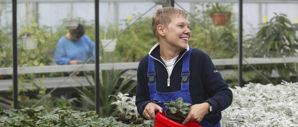 Im Grünen arbeiten: Auch um Gartenarbeiten oder Pflanzenzucht kümmern sich die Mitarbeiter:innen von Behinderten-Werkstätten.