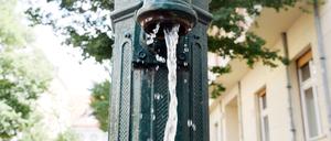 Eine Pumpe am Straßenrand gibt Wasser für trockene Bäume.