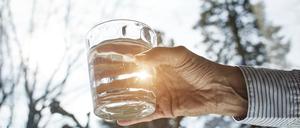 Prost Wasser. Für die Gäste darf’s aber gern auch etwas Stärkeres sein.
