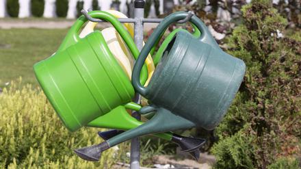 Gießkannen *** Watering cans 1065526393 